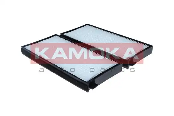 KAMOKA F426501
