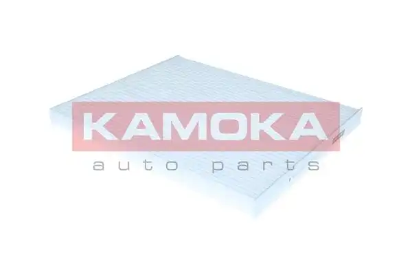 KAMOKA F427101