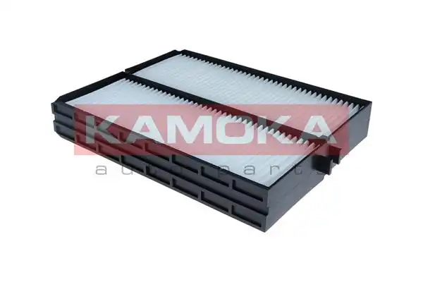 KAMOKA F429501