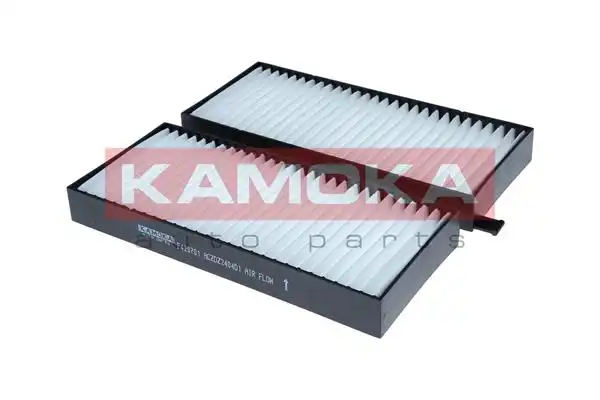 KAMOKA F429701