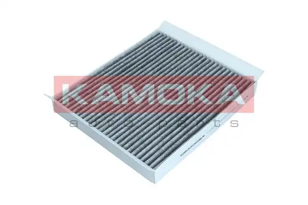 KAMOKA F504501