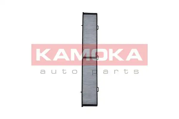 KAMOKA F505901