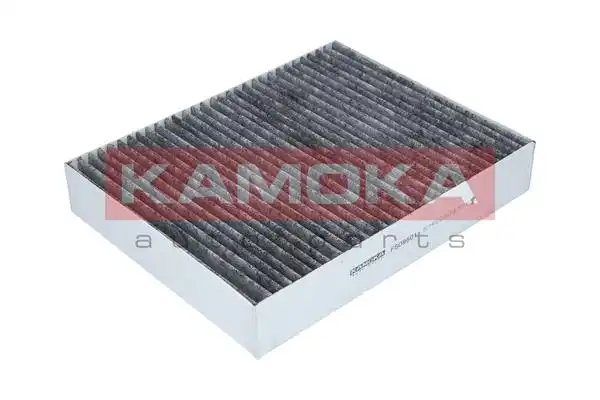 KAMOKA F509501