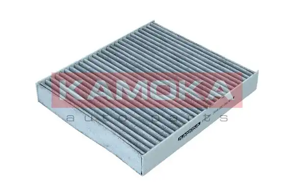 KAMOKA F511301