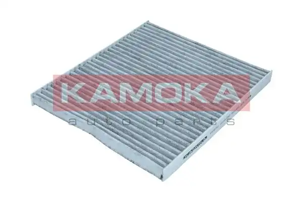 KAMOKA F516701