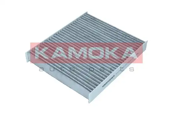 KAMOKA F517501