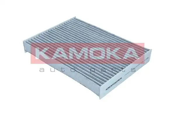 KAMOKA F519201
