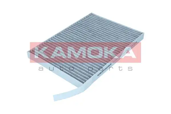 KAMOKA F519601