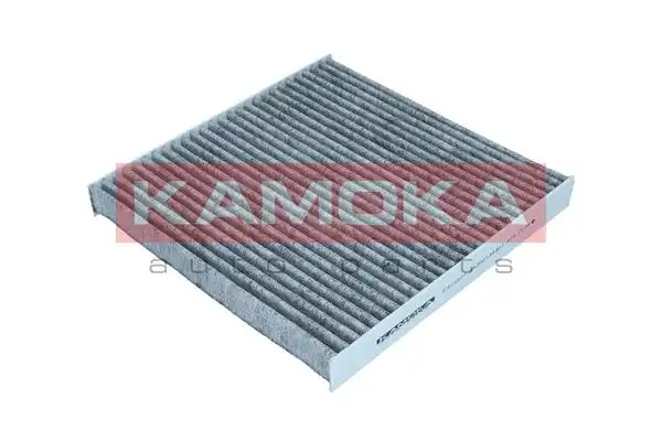 KAMOKA F520501