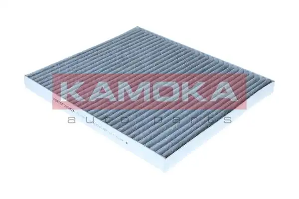 KAMOKA F523601