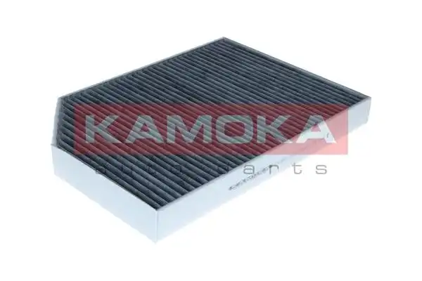 KAMOKA F524901