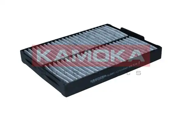 KAMOKA F525801