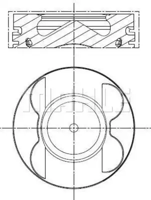 MAHLE 001 PI 00107 002