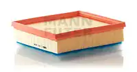 MANN-FILTER C 24 024
