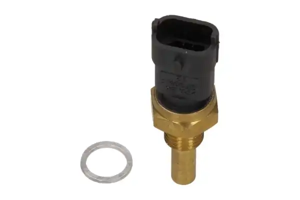 MAXGEAR 21-0255
