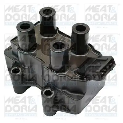 MEAT & DORIA 10384