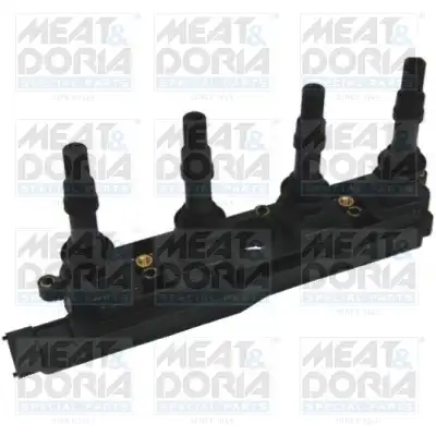 MEAT & DORIA 10398