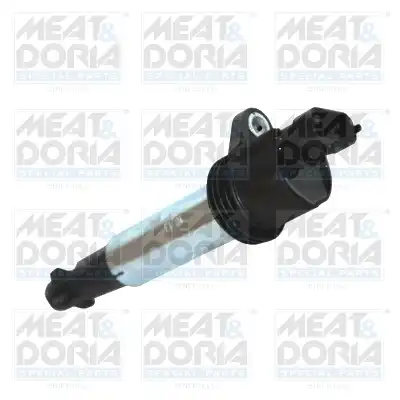 MEAT & DORIA 10699
