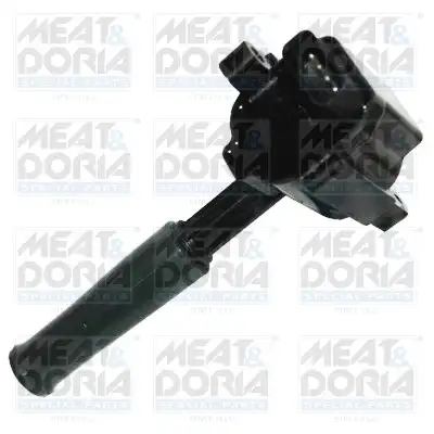 MEAT & DORIA 10733