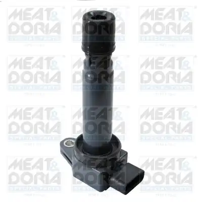 MEAT & DORIA 10875