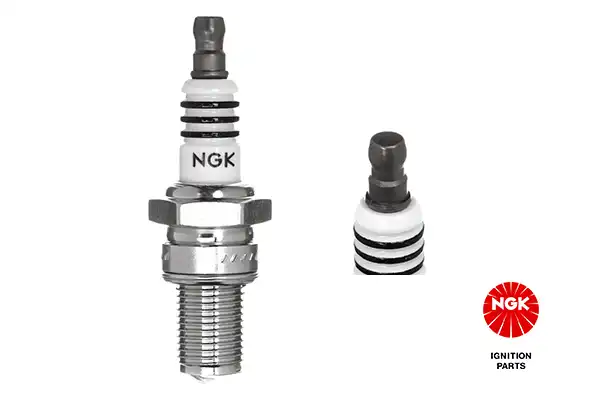 NGK 3006
