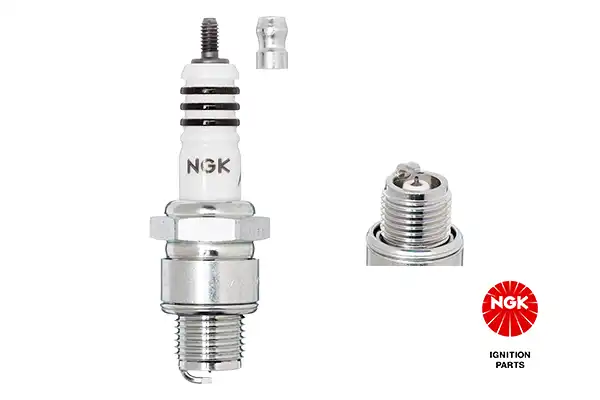 NGK 3419