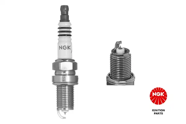 NGK 4919