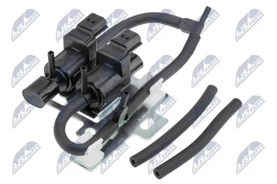 NTY EAG-MS-004