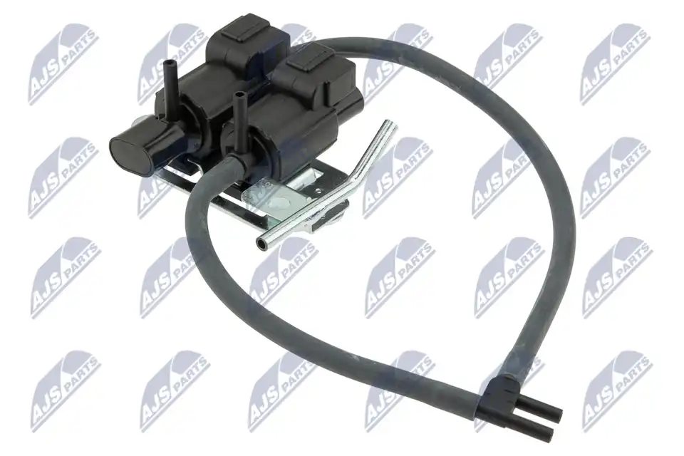 NTY EAG-MS-005