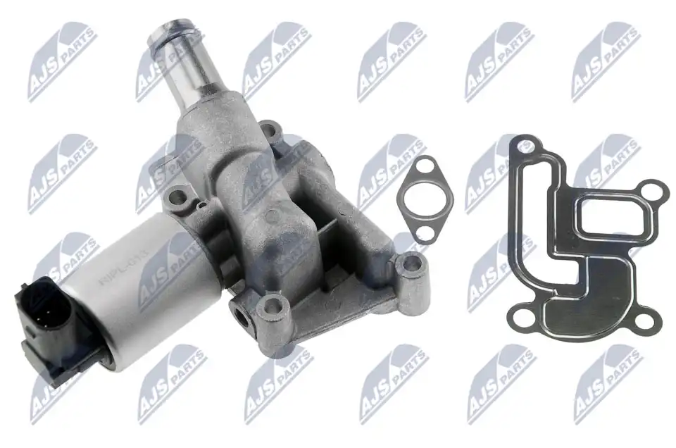 NTY EGR-PL-013