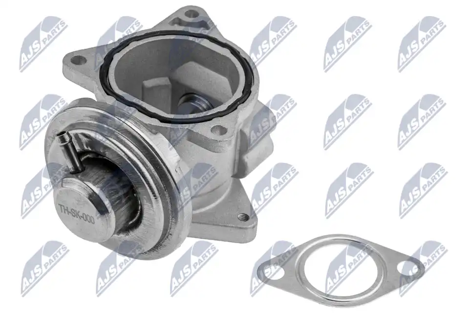 NTY EGR-SK-000