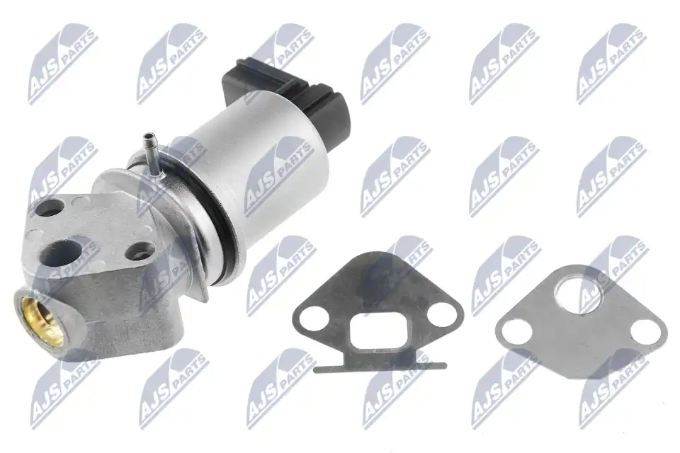 NTY EGR-SK-001