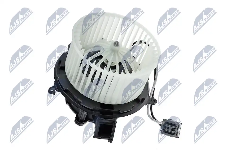 NTY EWN-PL-002