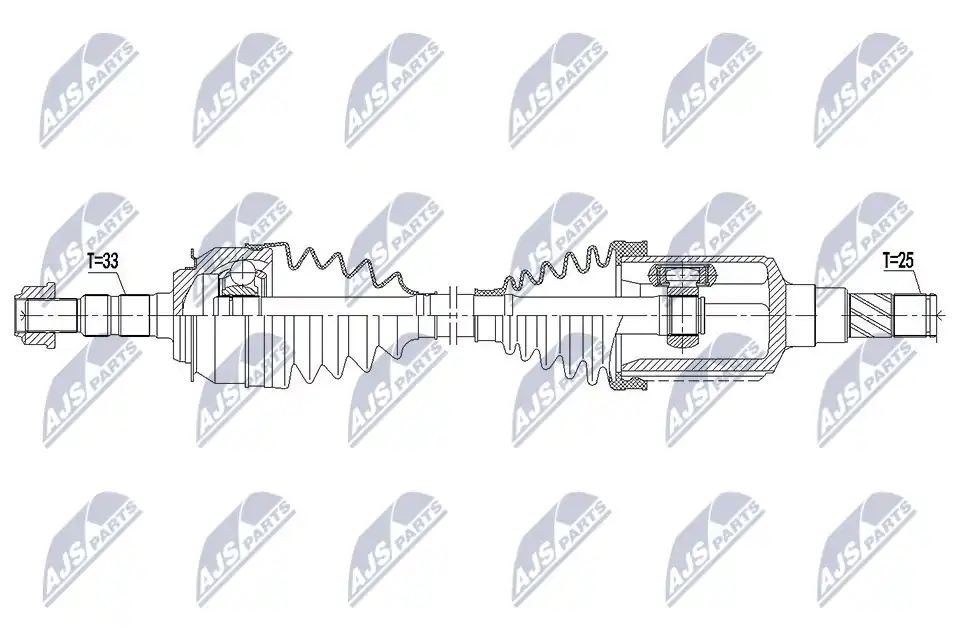 NTY NPW-DW-031