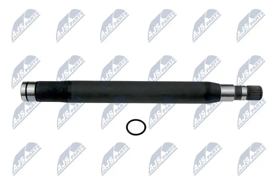 NTY NWP-PL-004