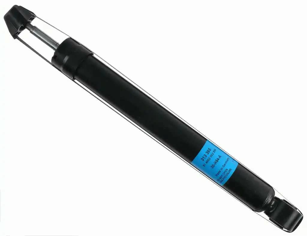 SACHS 313 365