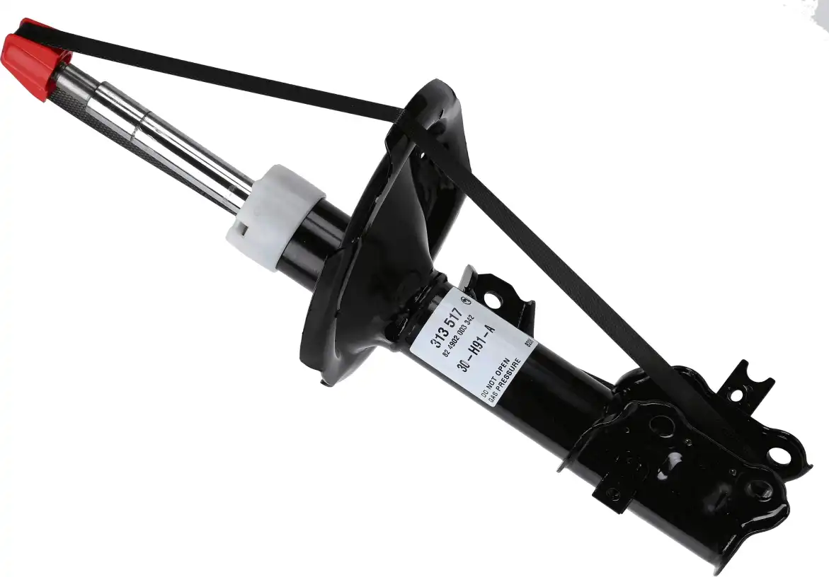 SACHS 313 517