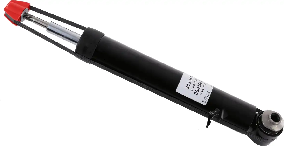SACHS 315 313