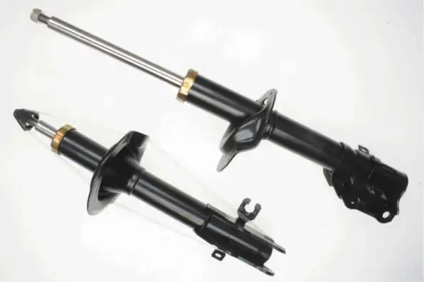 SACHS 317 307