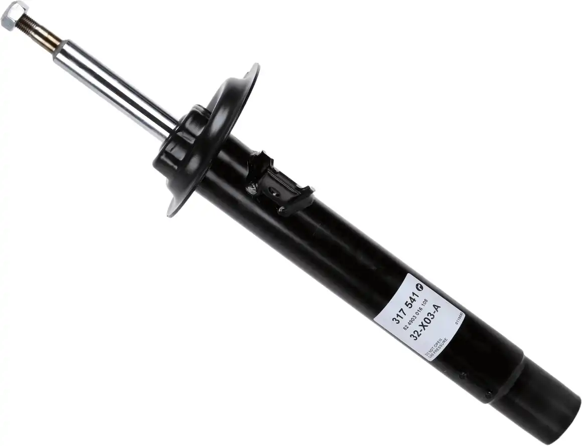 SACHS 317 541