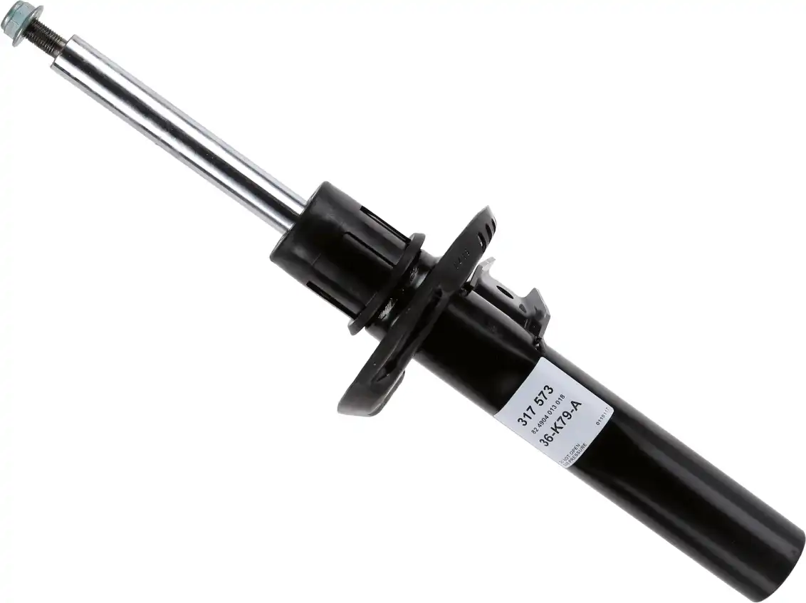 SACHS 317 573