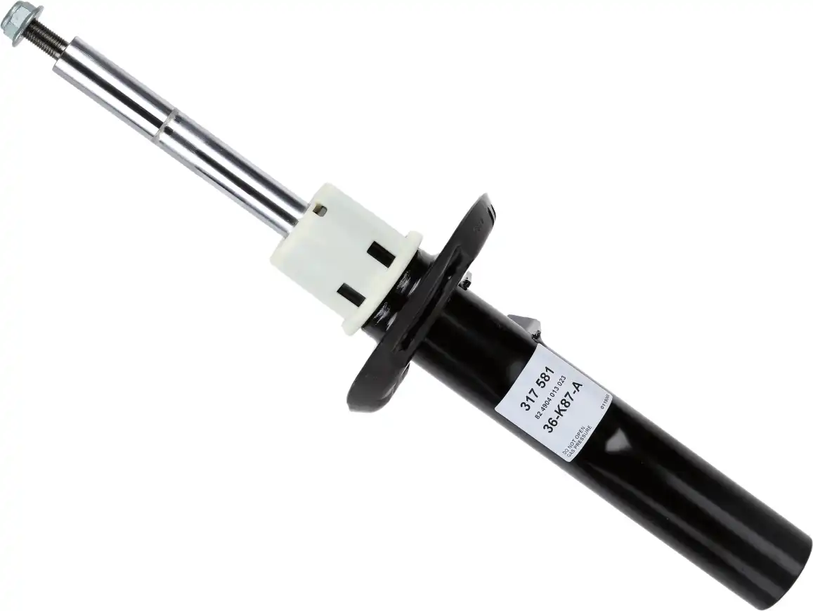 SACHS 317 581