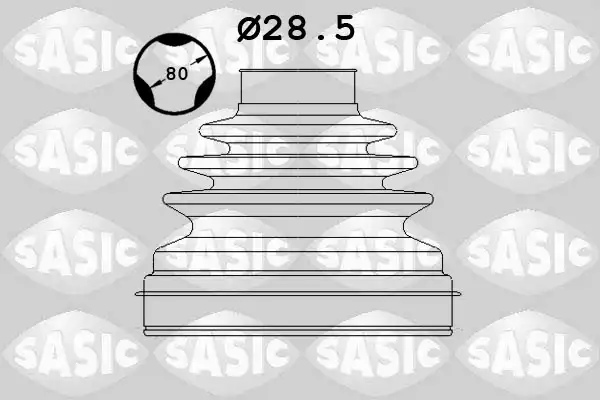 SASIC 1906132
