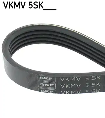 SKF VKMV 5SK595