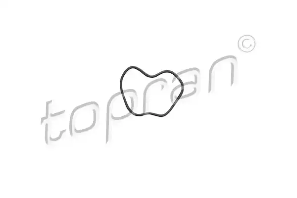 TOPRAN 206 527