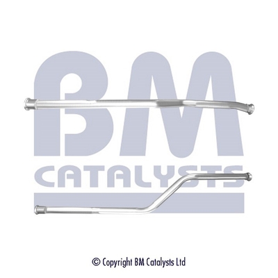 BM CATALYSTS BM50542