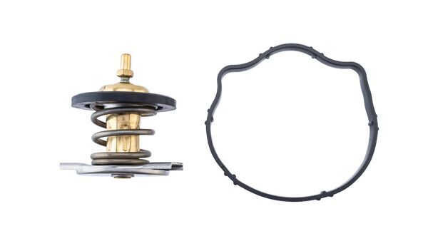 MAHLE TX 494 87D