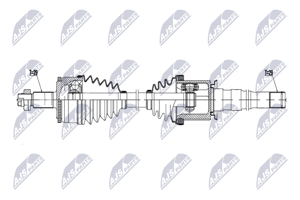 NTY NPW-LR-043