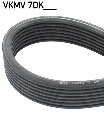 SKF VKMV 7DK1884