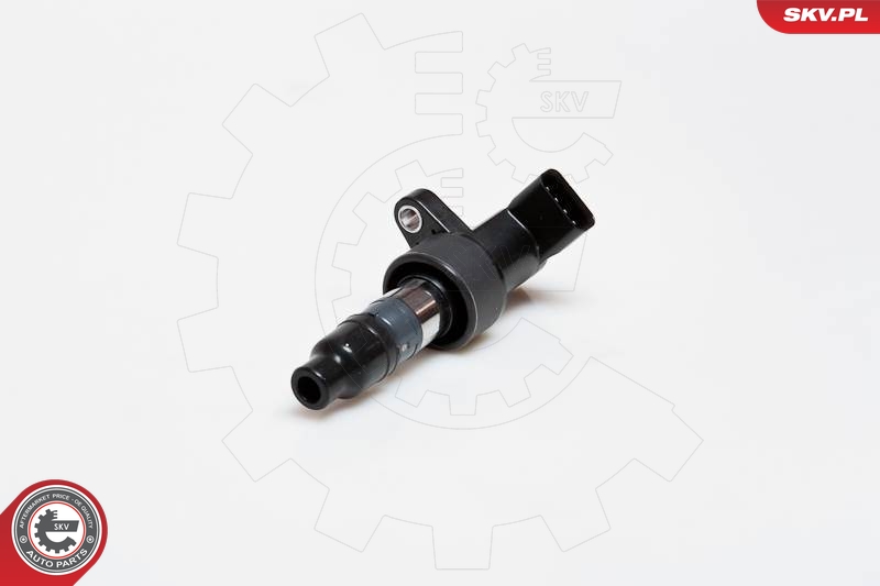 SKV 03SKV171